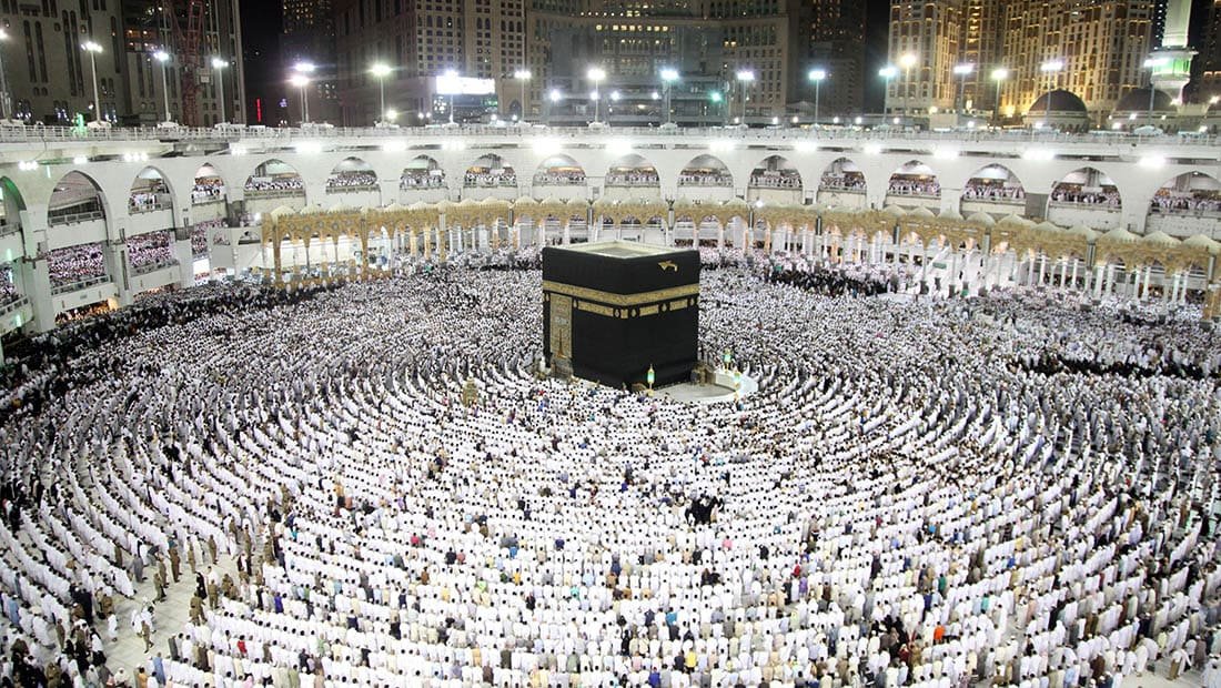 أفضل خدمة توصيل الحجاج والمعتمرين من مطار جدة إلى مكة والمدينة المنورة